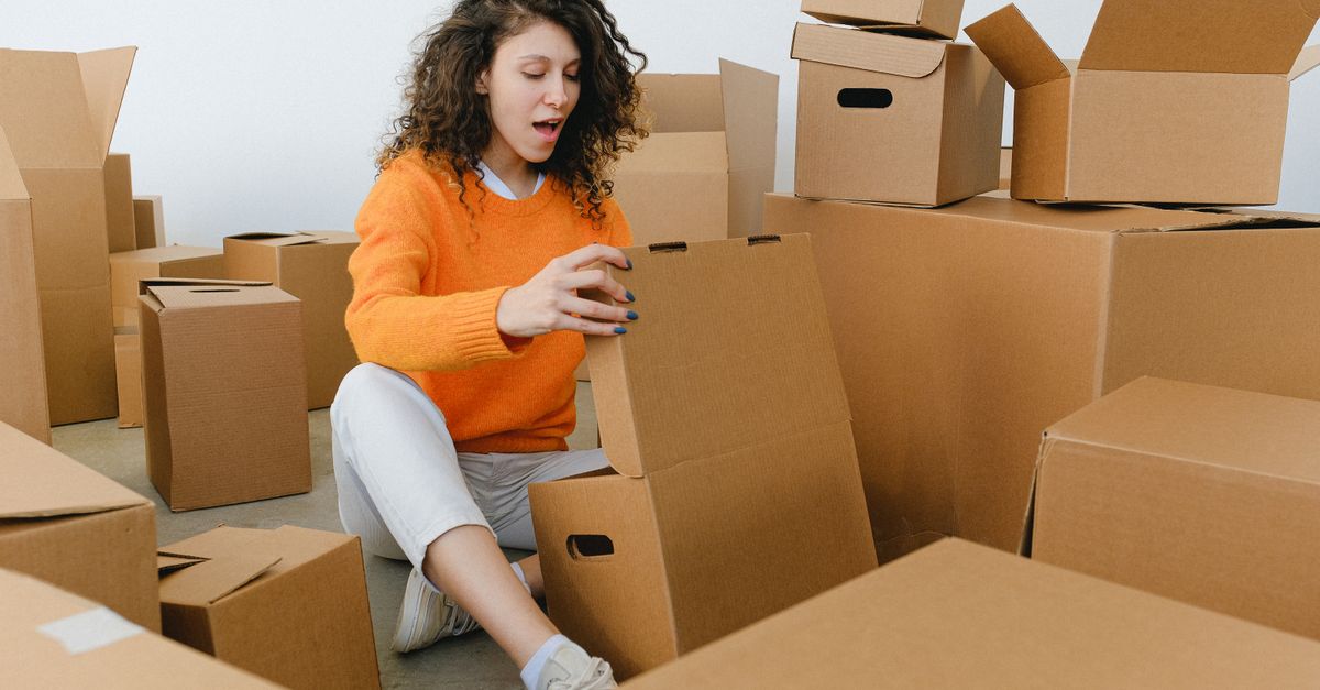 Ave doméstica explorando tubos y cajas de cartón con alimento escondido